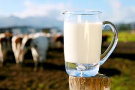 Pasteurized milk 
